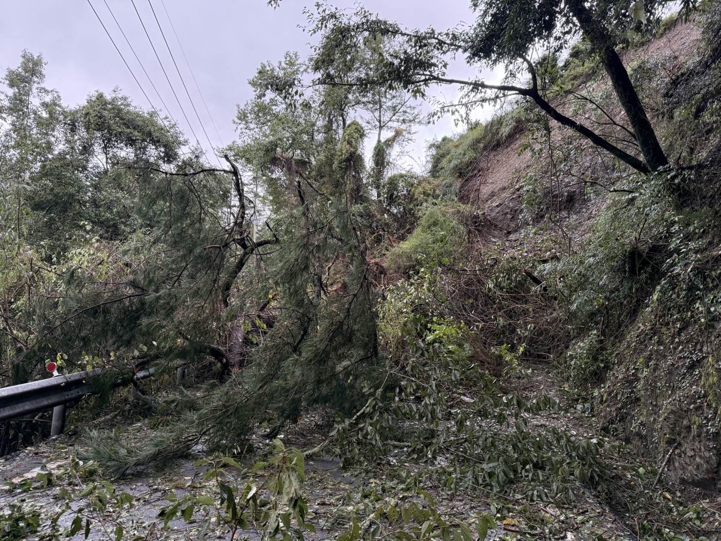 梨山地區發生大量山石滑落及路基損壞無法通行,阻礙台電機具、設備進入山區搶修。圖為台8線99.1K樹倒狀況。