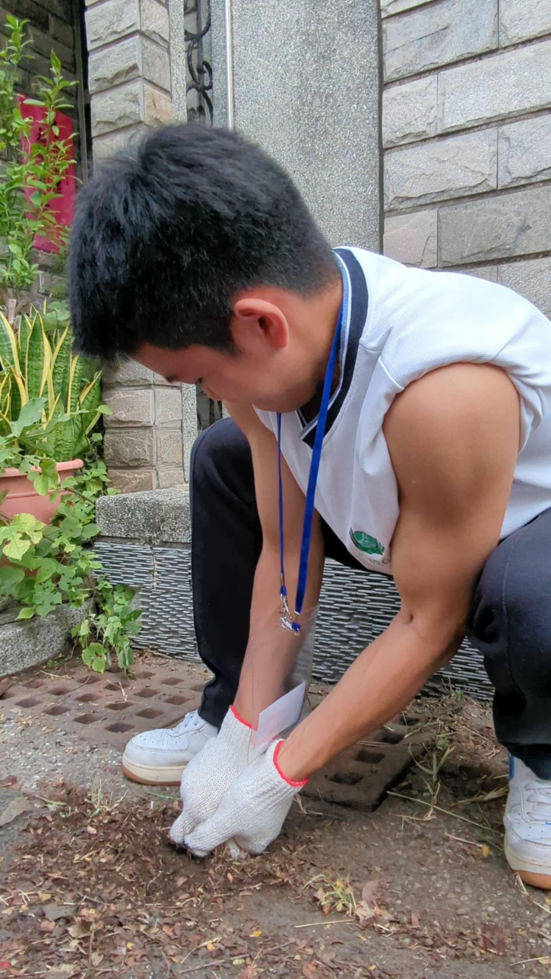 學生使出洪荒之力,努力將路邊的雜草拔除。