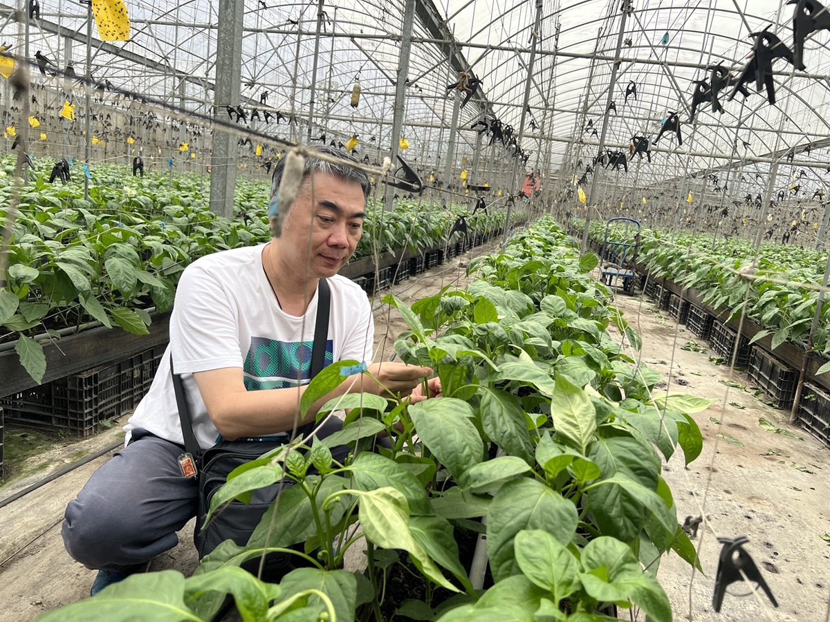 勤益科技大學林宗宏教授投身原鄉服務長達二、三十年,也帶著學生到部落公益服務