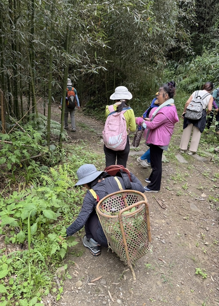 學員現場採摘野菜