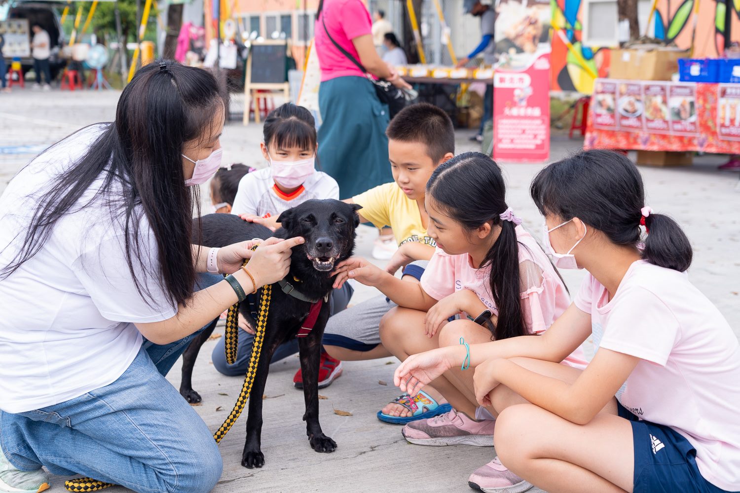 「小小動物觀察家」互動體驗活動,讓孩子與犬隻近距離接觸。