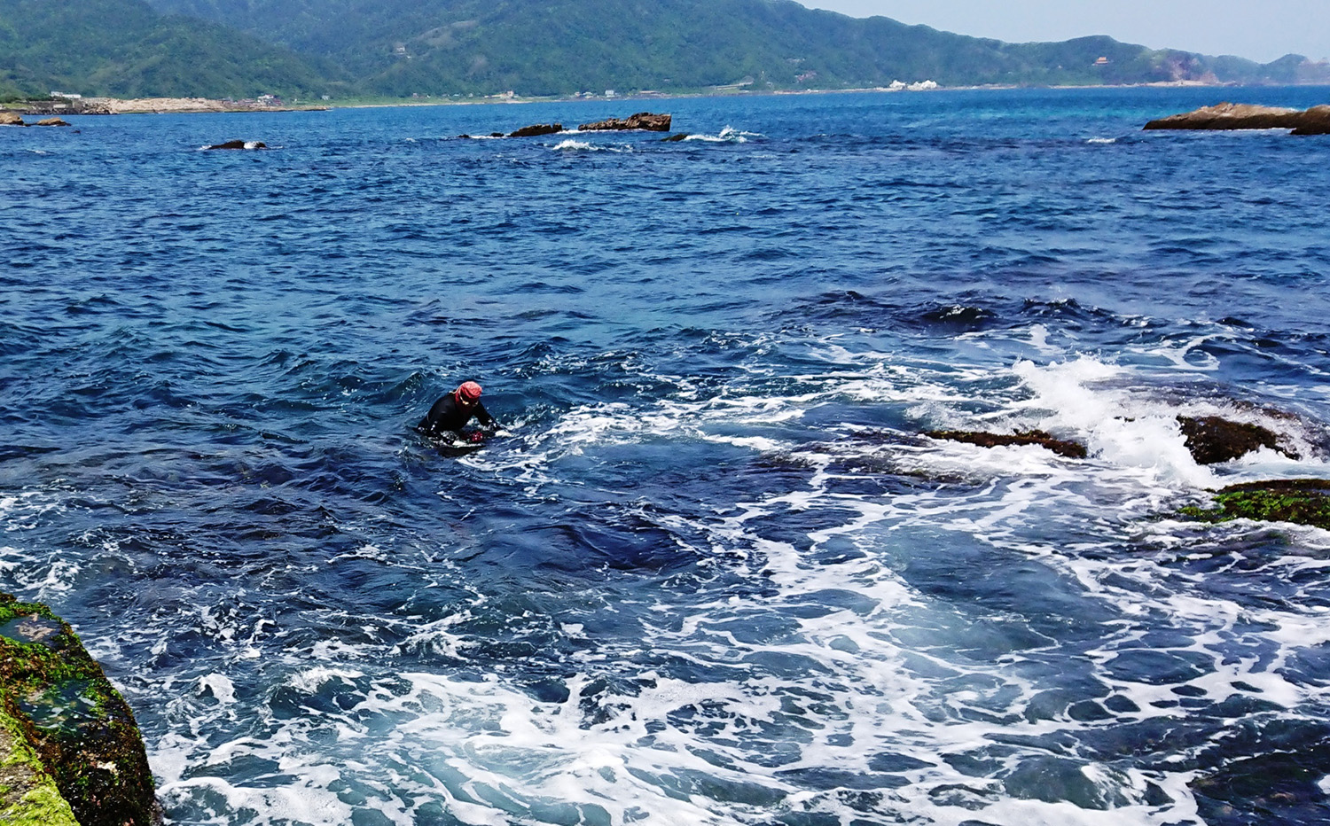 海女婆婆不懼海浪的衝擊俯身潛入海中摘採老天爺賞賜的海中珍品-新北石花菜。