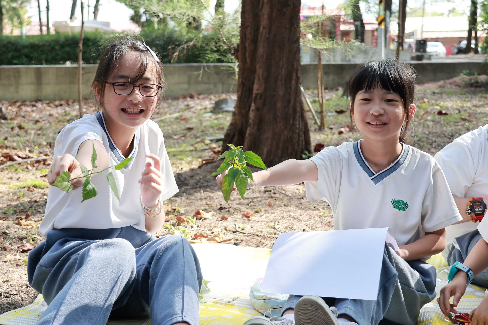 「創意拼貼」活動讓孩子透過觸覺與嗅覺,體會不同植物的質感與氣味,再運用自然素材拼貼出獨特的創作。