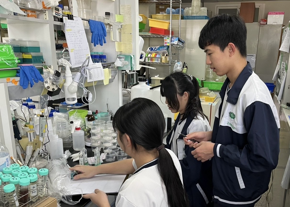 學生於成功大學實驗室於塑膠杯進行灌溉作物實驗。
