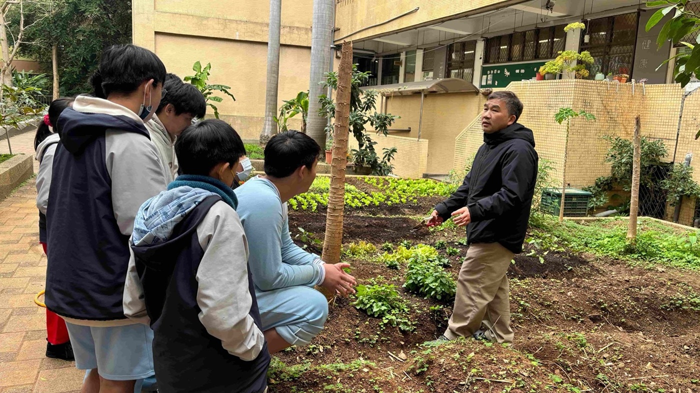 臺北市石牌國中小田園的社團課程,四季皆有不同作物,提供豐富的教學素材