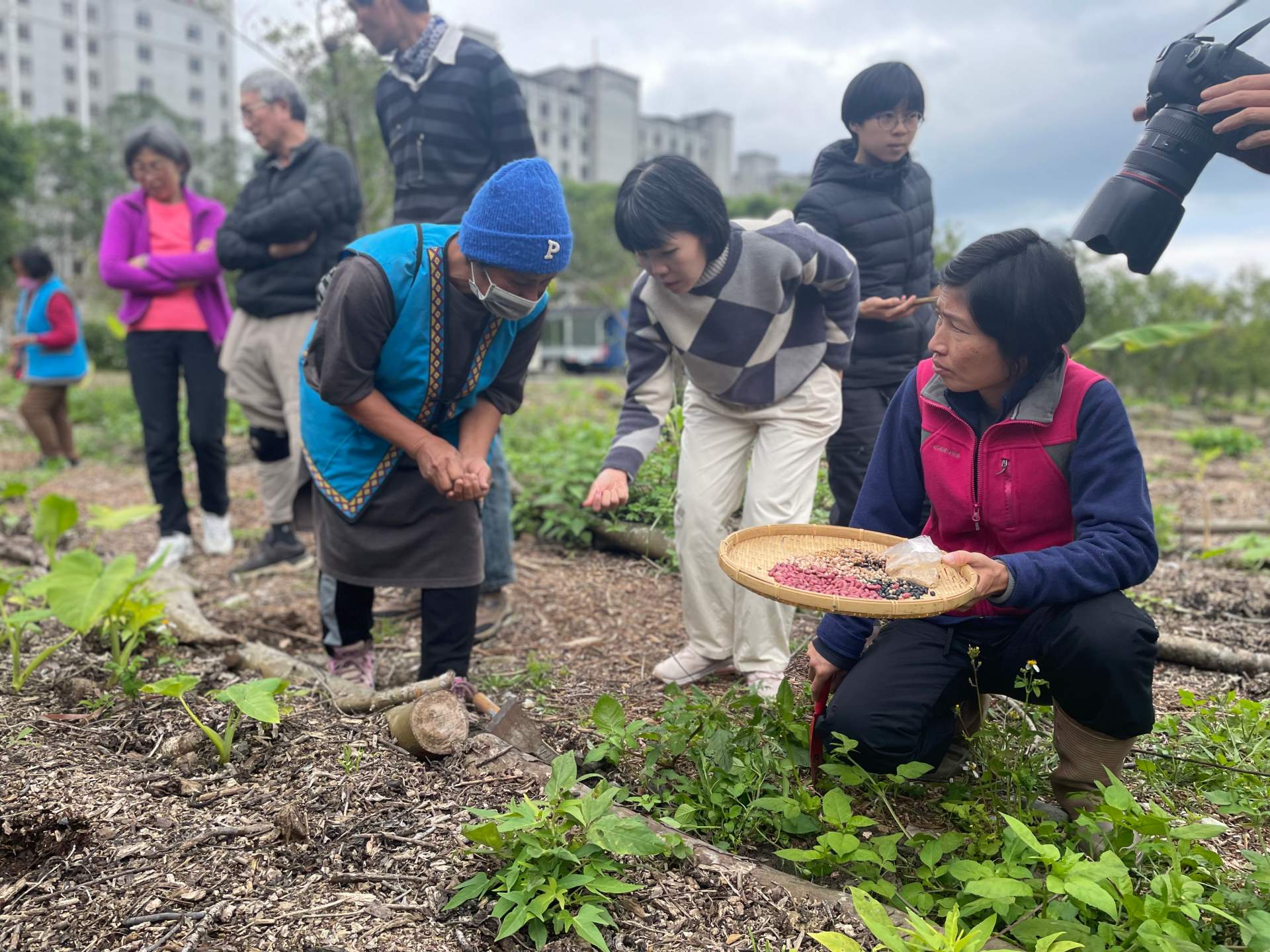 特別邀請來自卓溪鄉南安部落「布農豆豆班」的8位布農迪娜（布農族尊稱女性長輩）與學員們分享傳統部落農耕的智慧。