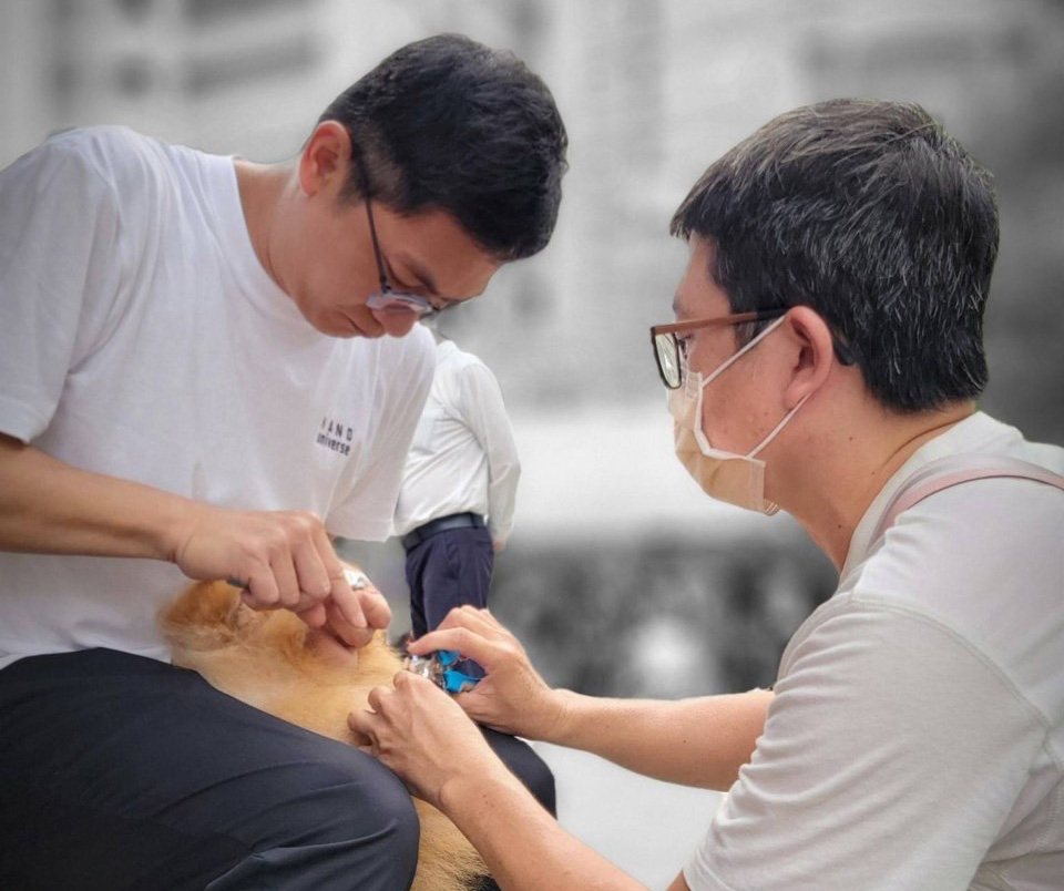 寵物美容師替毛孩修剪指甲