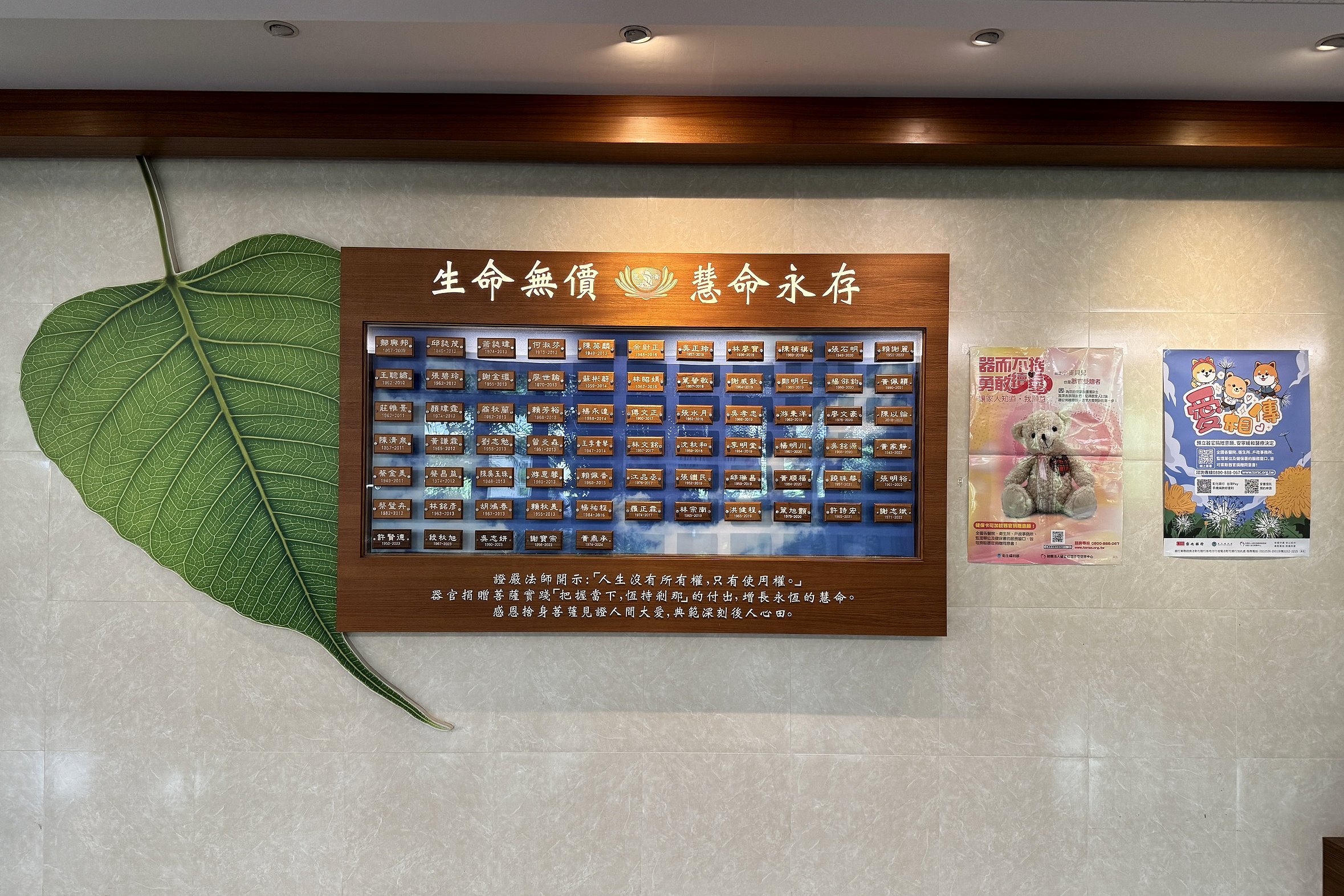 台中慈濟醫院大廳的器捐牆,記錄著一份份生命傳承的愛與承諾,也喚起眾人對器官捐贈的關注與省思。