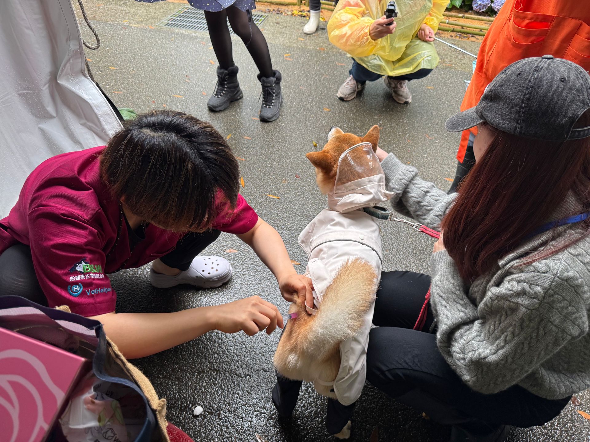 當日活動免費提供100劑狂犬病疫苗注射