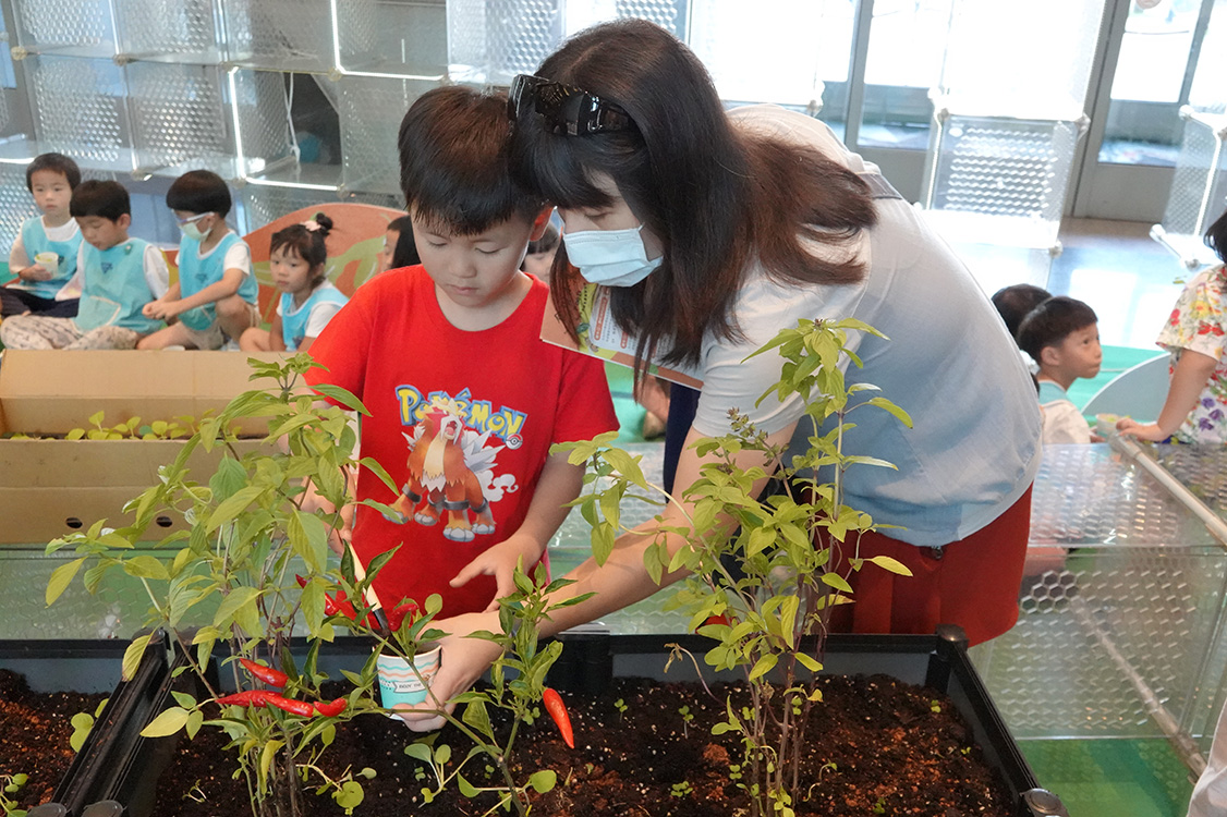 新北市政府農業局8月4至15日新北市府一樓大廳辦理「2025新北市食農教育展-野菜學園祭」(資料照片)