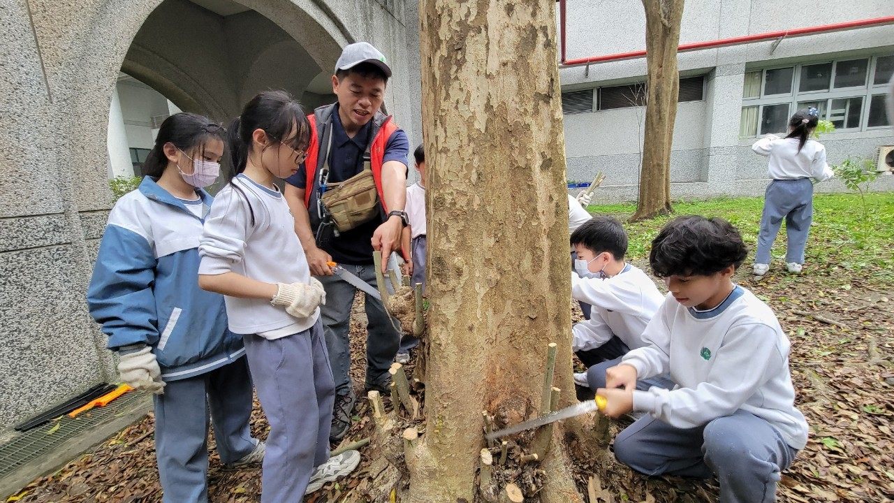 林業保育署專家細心教導學生如何正確修剪樹木,確保樹木能健康生長。