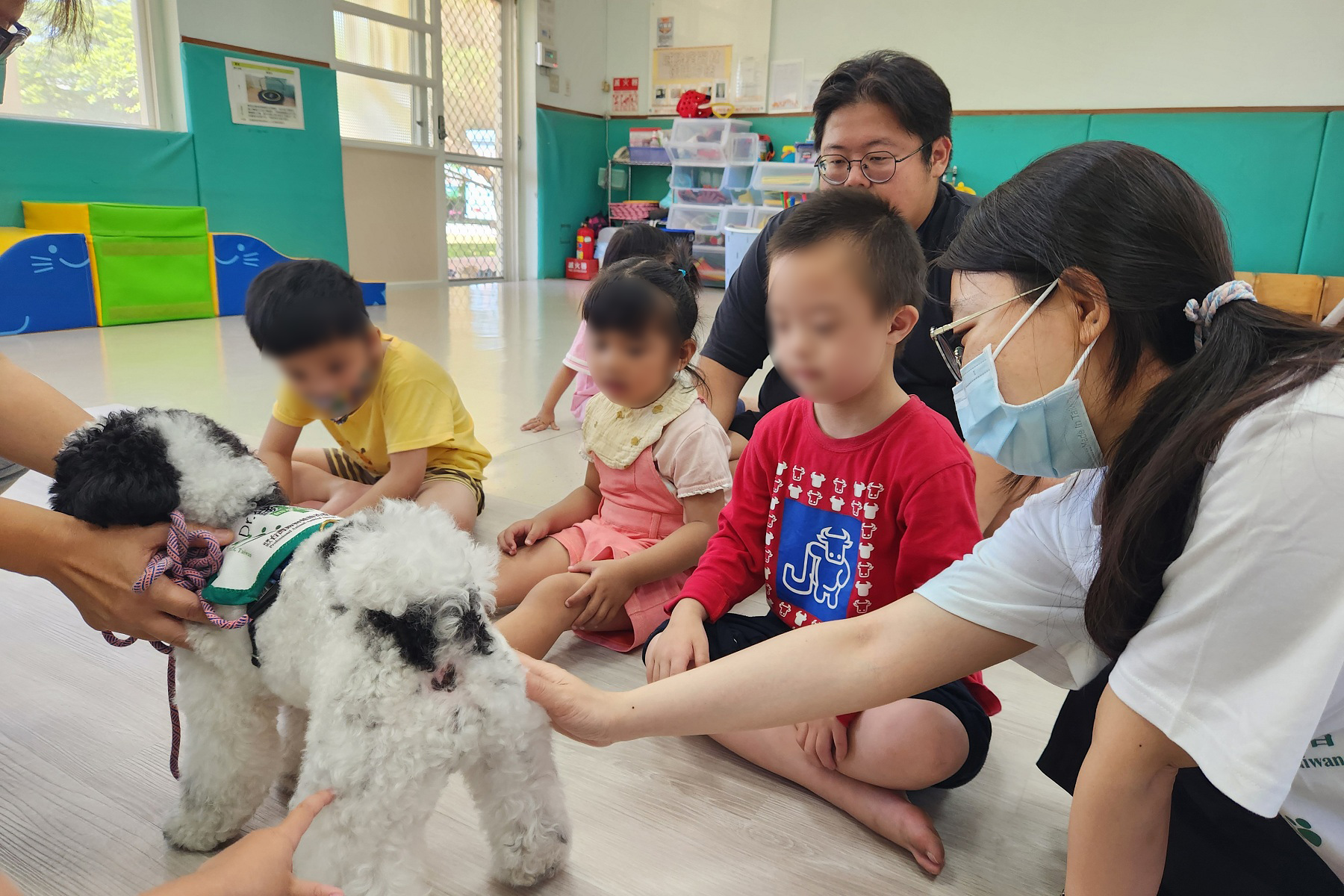 引導幼童觸碰治療犬錢錢,感受毛的觸感