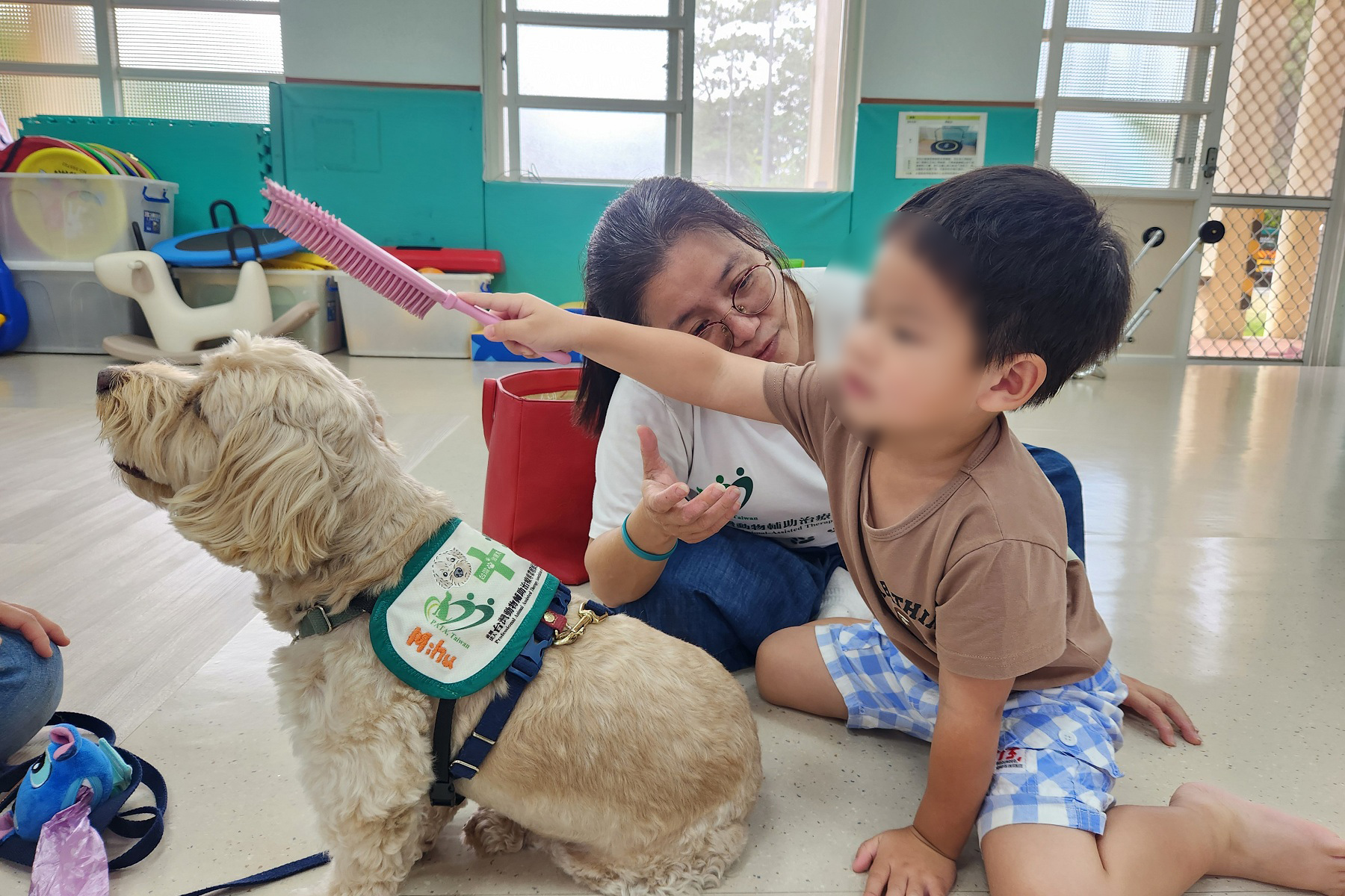 引導幼童練習使用毛刷梳理治療犬米麩