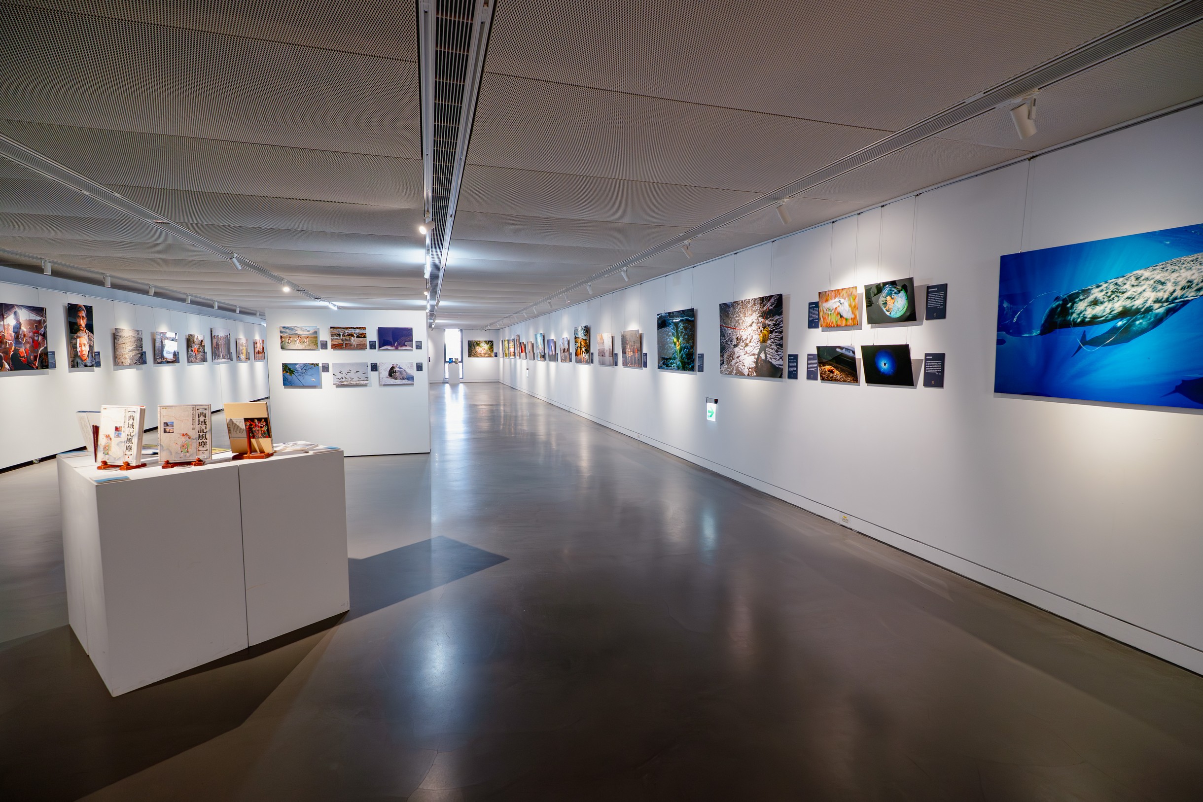 本次展覽展出超過八十幅攝影、插畫作品,邀請觀眾透過影像,感受不一樣的世界。