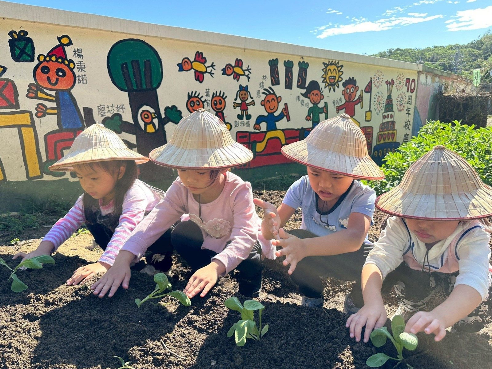 談文國小附幼在菜園裡體驗種菜的樂趣。
