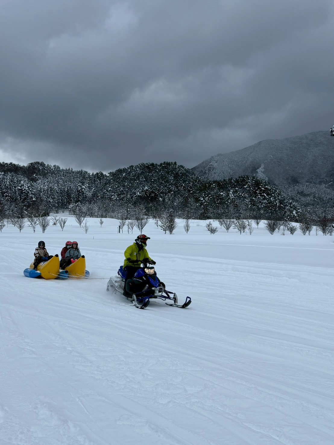 青森縣運動公園進行雪上活動,盡情享受玩雪的樂趣。