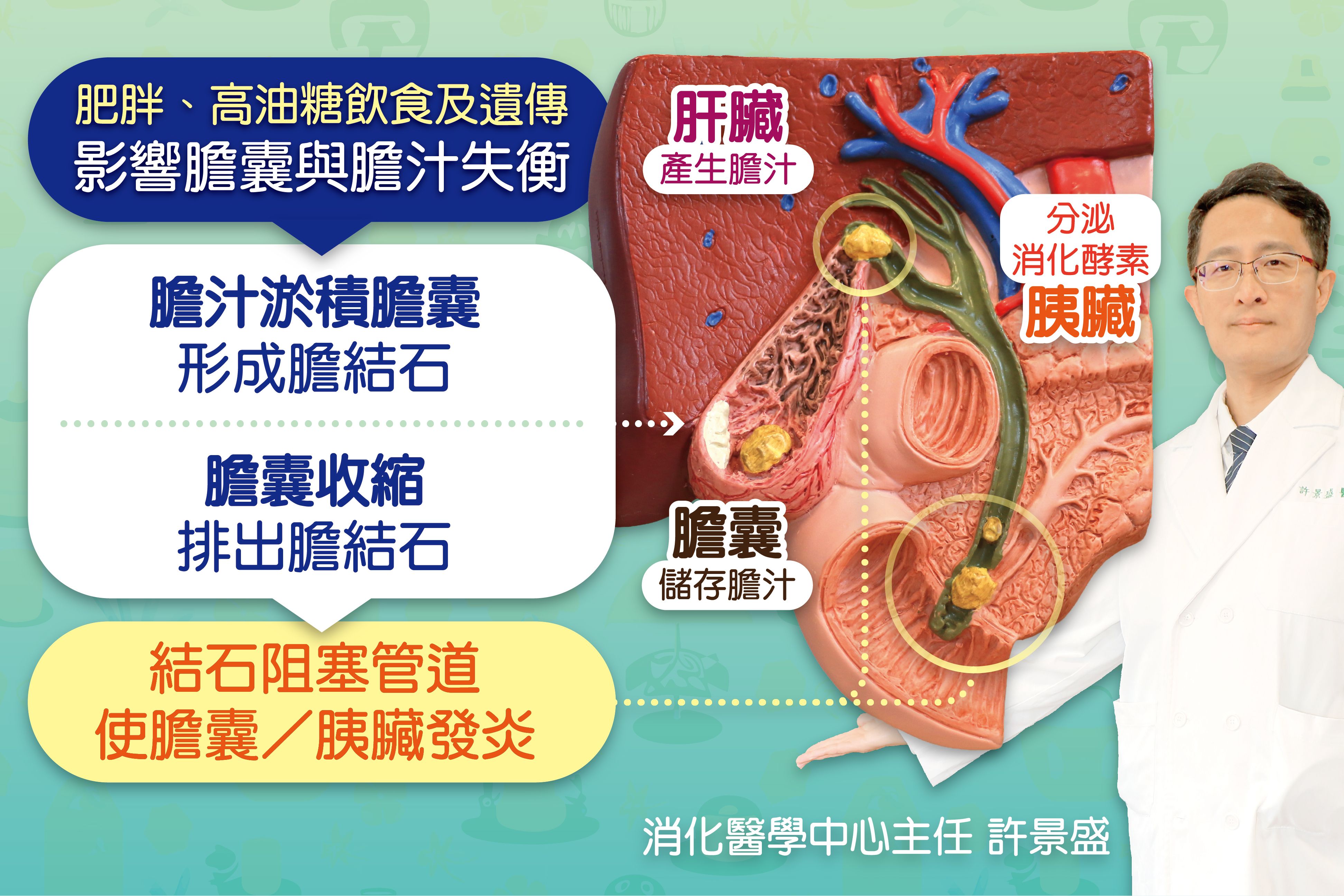 膽結石發展與發炎風險。