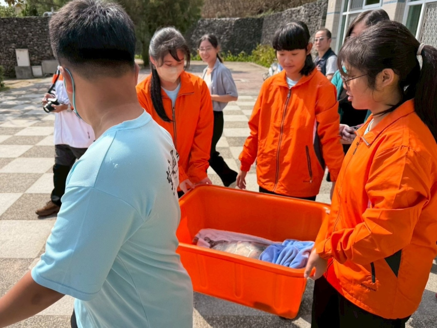 澎湖縣望安國中學生協助野放海龜