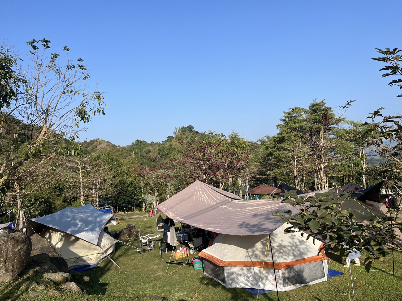 梅嶺「神秘氣場露營場」