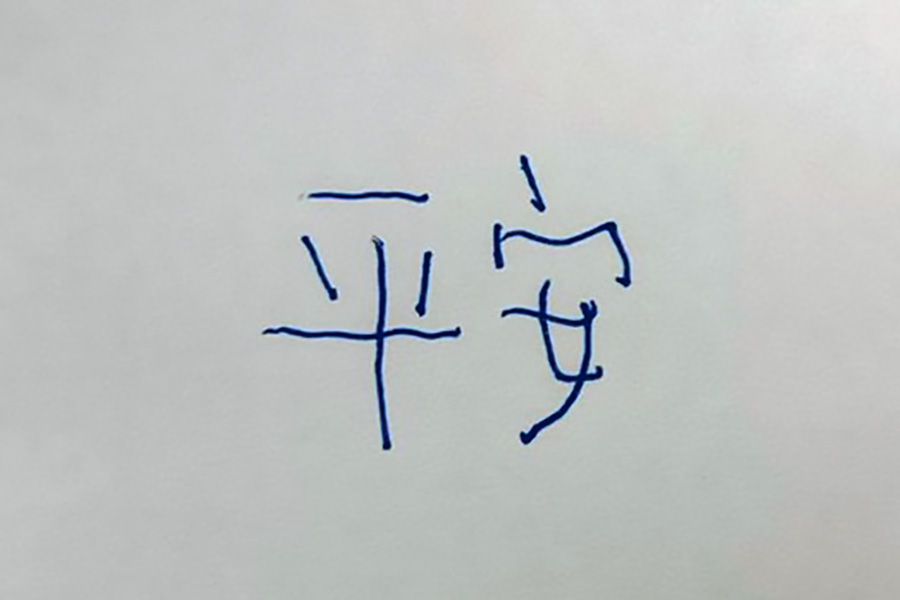 出院前盧副站長秀出這些日子的醫療成果,用左手寫下「平安」,簡單的兩個字,寫出了這36天來花蓮慈濟醫院醫療團隊的努力,家人的陪伴,全台網友的祝福以及她自己最深刻的體悟。