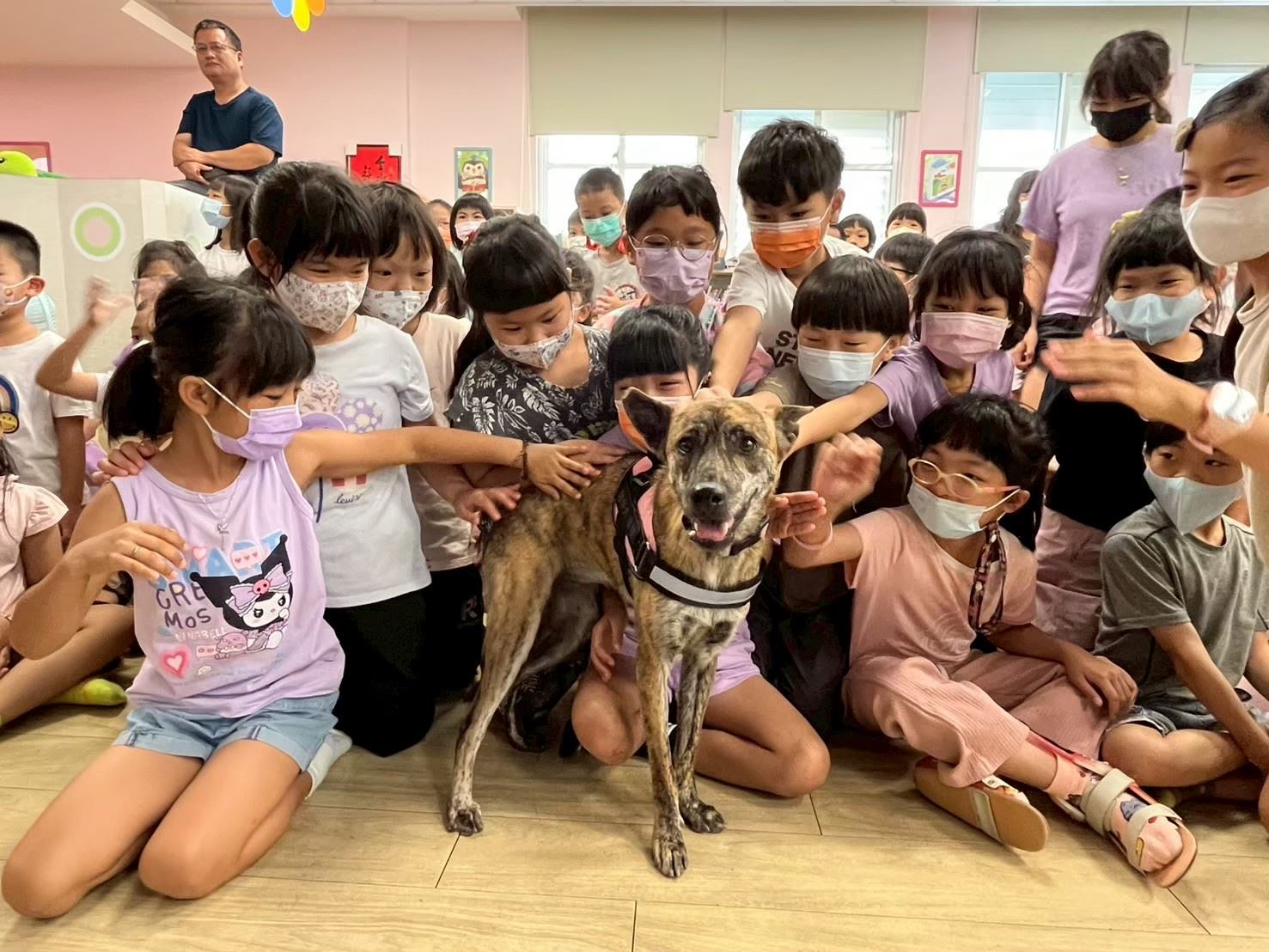 小孩與陪伴犬互動