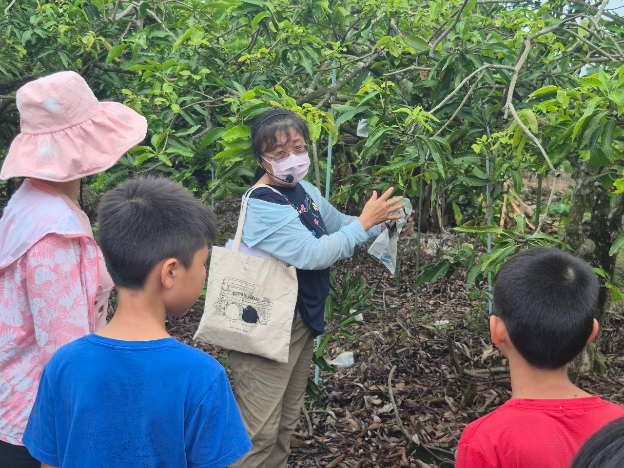 走讀果園探索土地故事