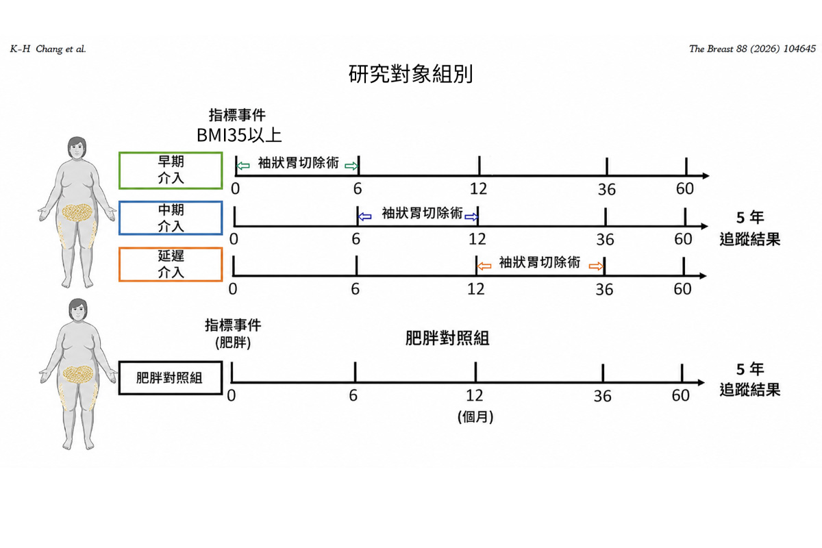 研究團隊比對BMI35的病人接受減重手術的時機對乳癌發生率的影響，證實及早接受減重手術，乳癌發生風險可降低約20%