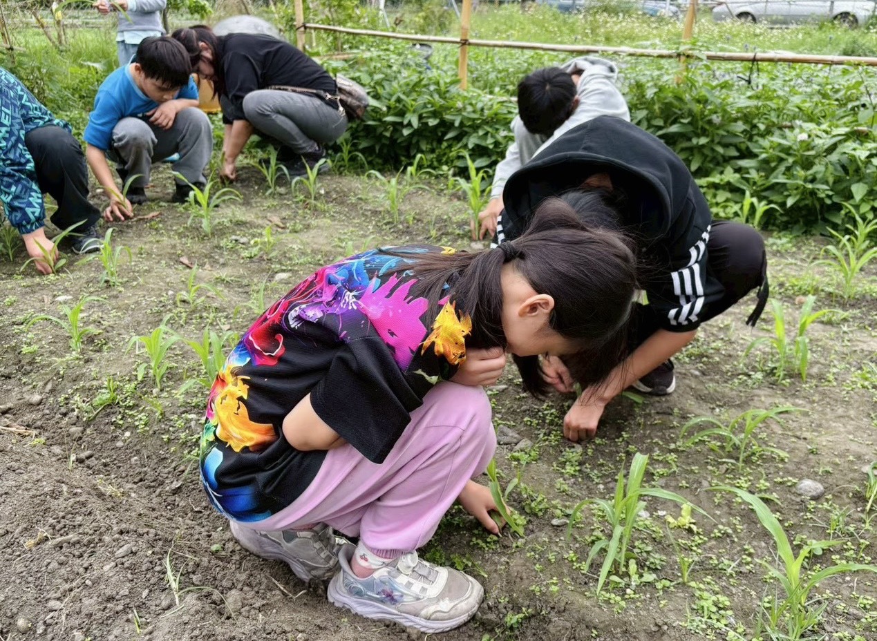 孩童在拔草過程中,用雙手呵護這片希望的土地