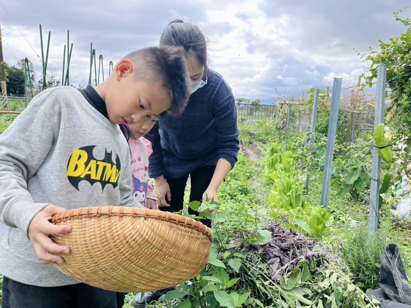 孩子在田野中發現大自然給予的恩惠