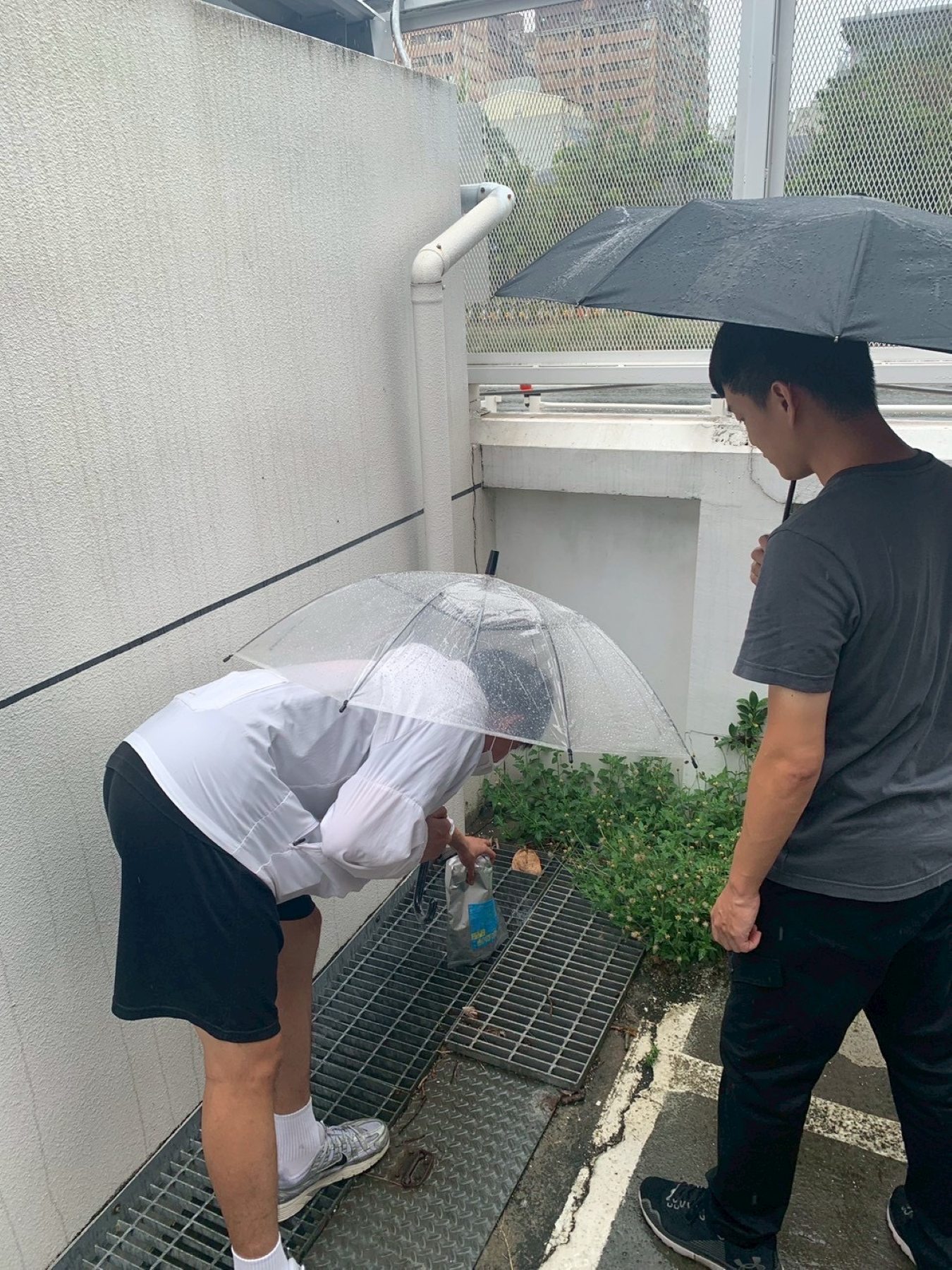 學校進行水溝投藥,杜絕登革熱孳生源