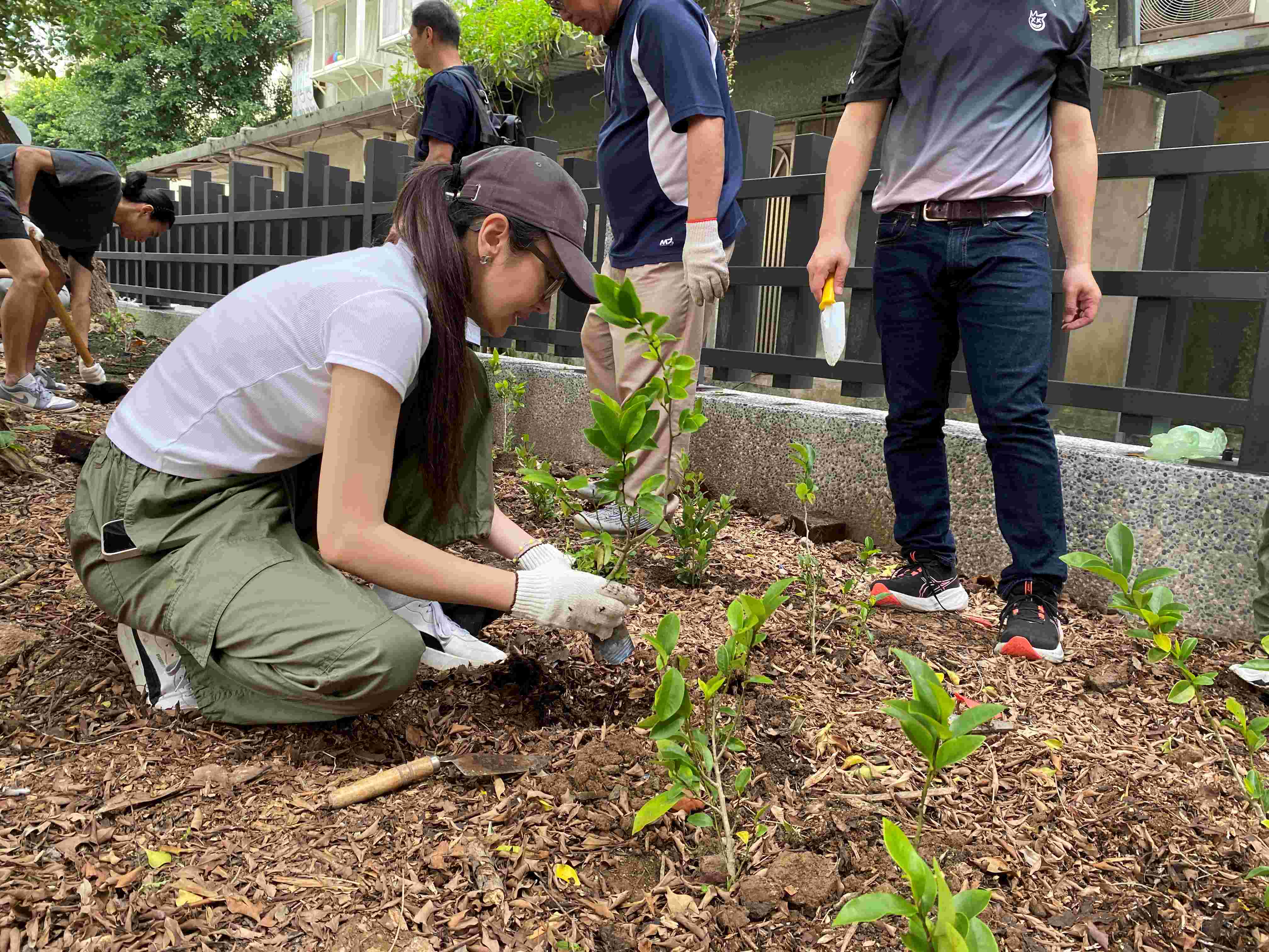 除了植樹外,養護樹木同樣重要,才能強化土地韌性。