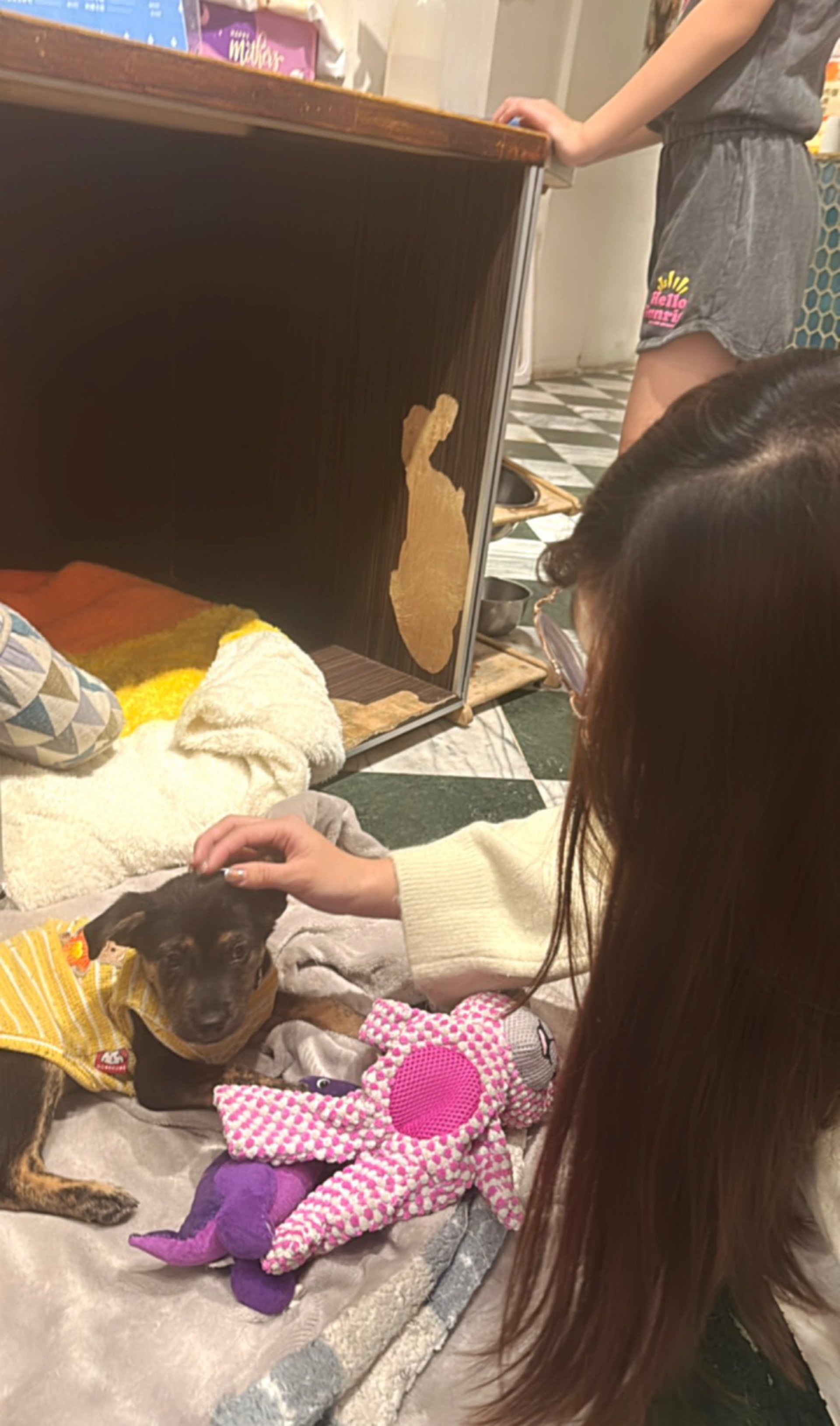 課業之餘,蓓拉偶爾會到浪浪咖啡廳放鬆心情,店內營收也投入流浪動物救援,成為她忙碌求學生活中難得的療癒時光。(台灣世界展望會提供)