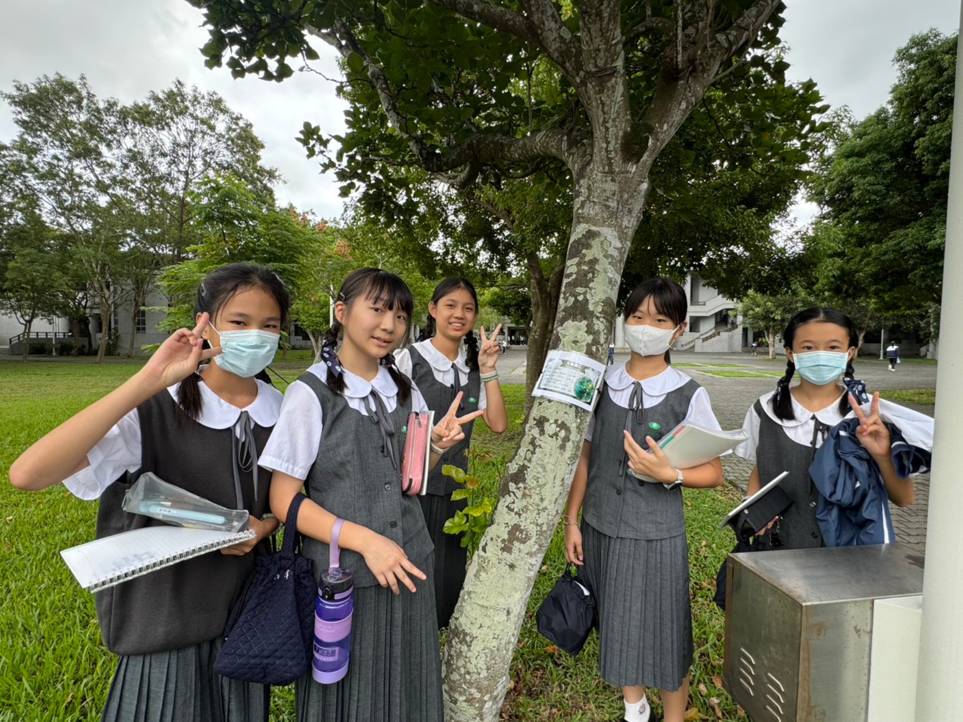 在「生物多樣性」路徑上,進行校園動植物普查