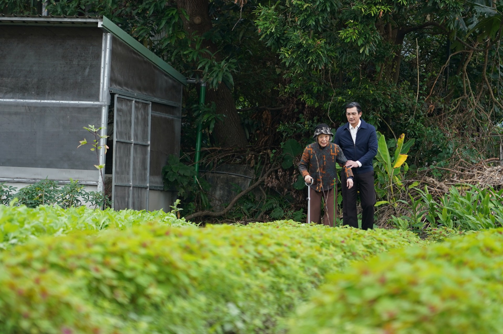 EP8-9王陳蓮花（李芝羚飾）跟兒子吳金龍（伊正飾）來到田地回憶往事