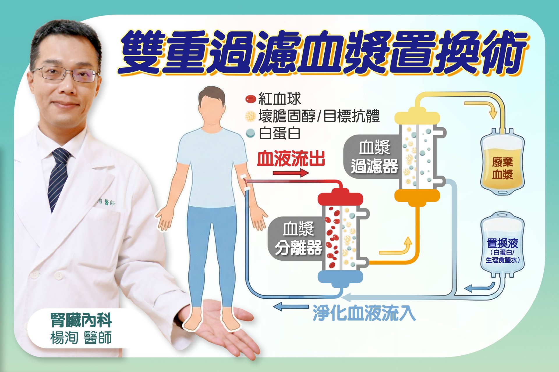 血漿置換術透過儀器分離病人血液,移除含有致病抗體的血漿,協助神經與肌肉訊號傳導恢復正常。