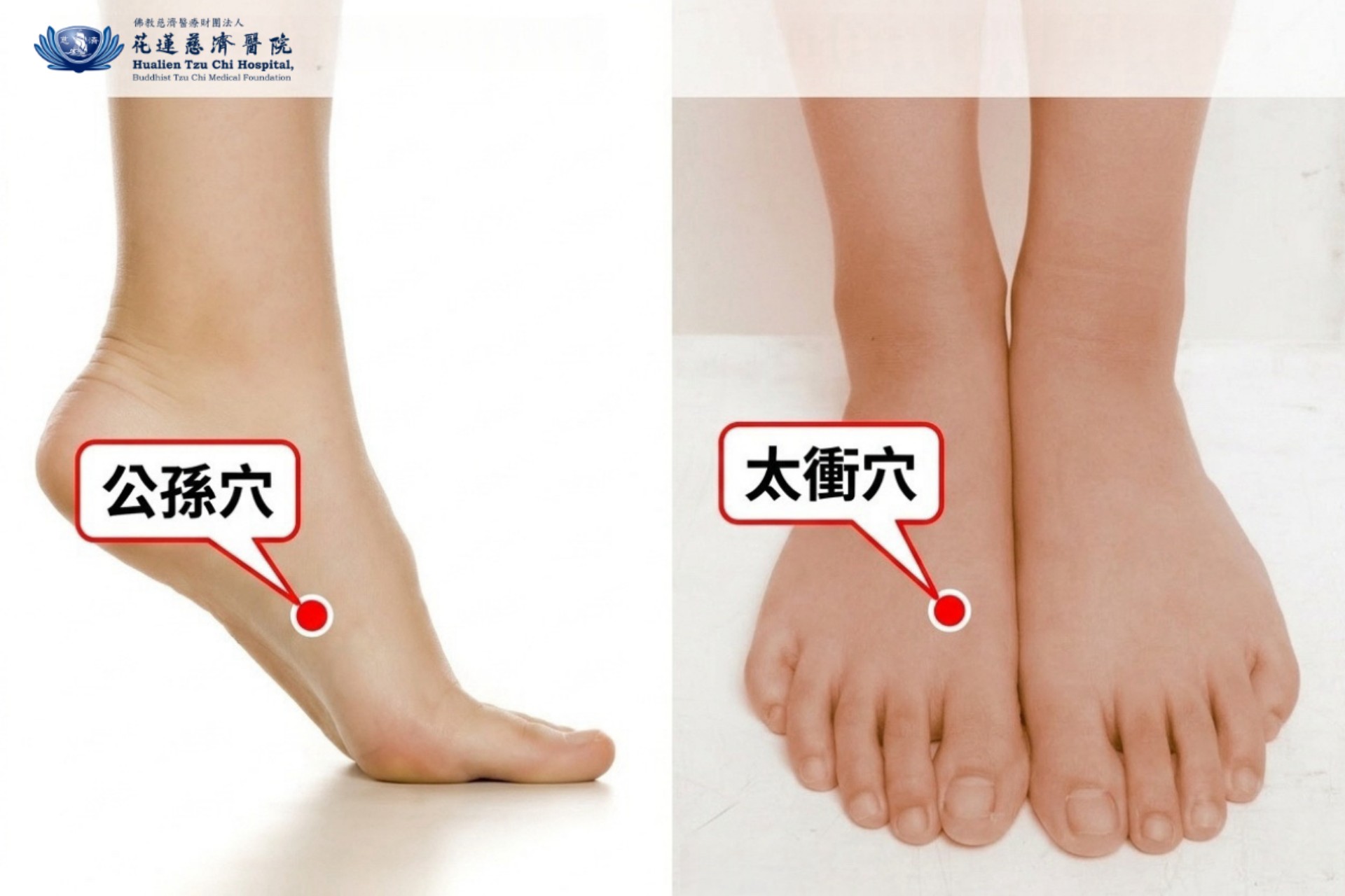 太衝穴,有助疏肝理氣、緩解情緒;公孫穴,有助調整脾胃、穩定氣機。
