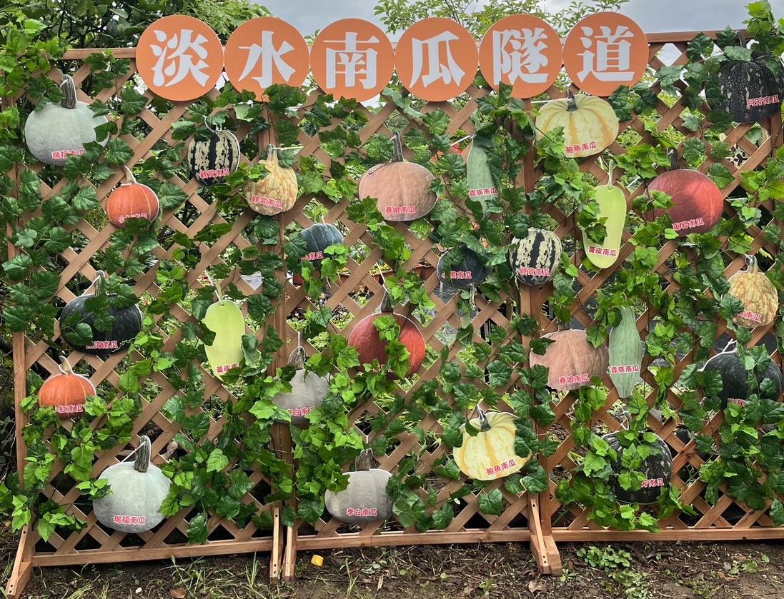 農會設置南瓜打卡牆。