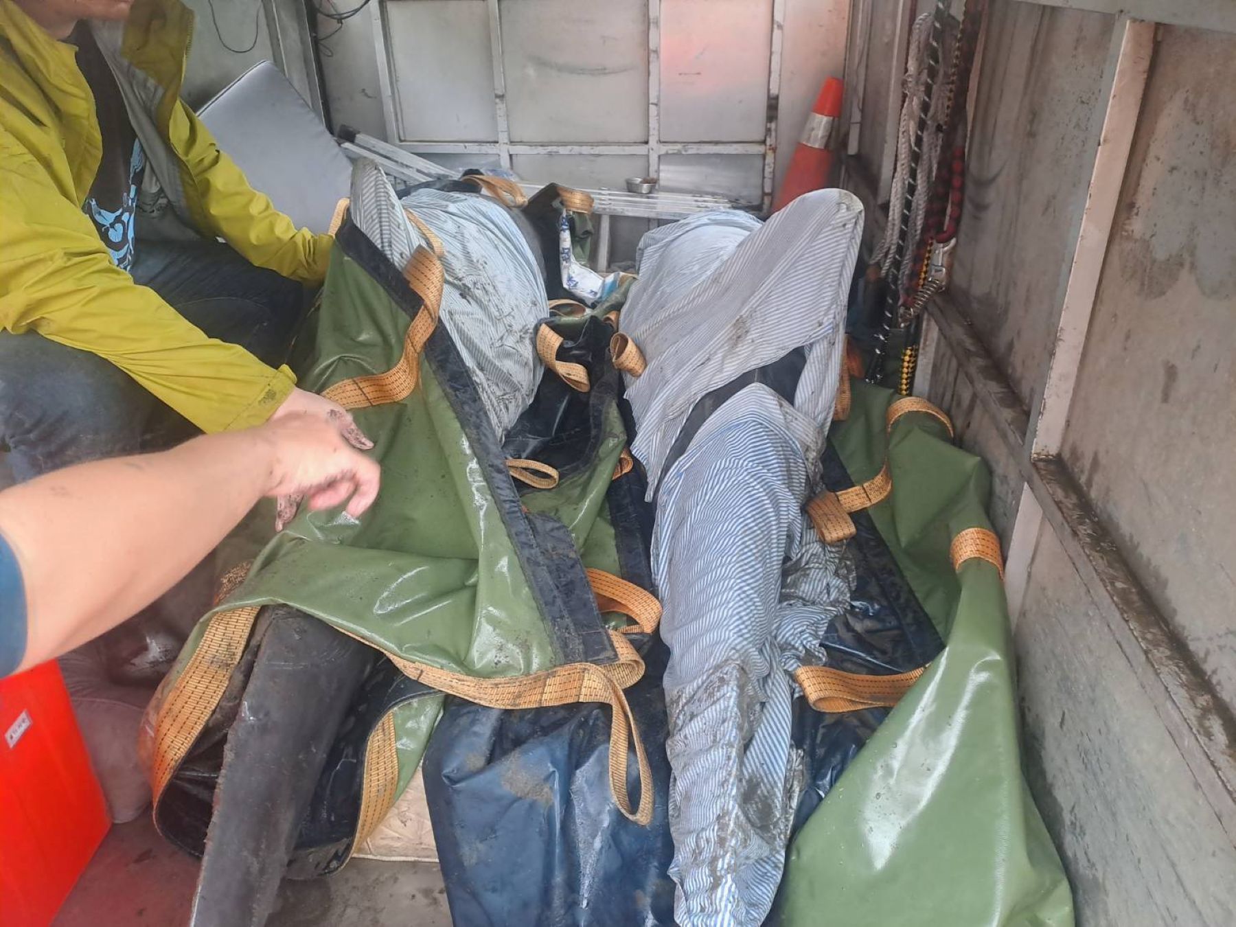 救援團隊搬運小虎鯨上管制車運至八斗子岸置中心安置