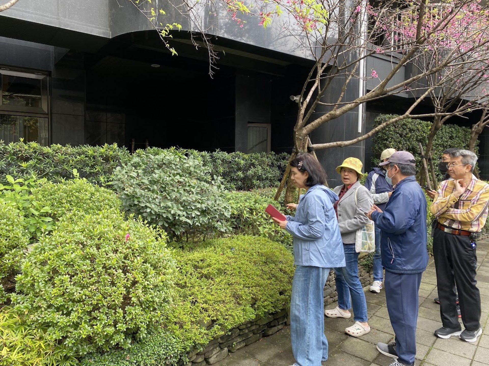 新北市城市綠美學輔導團提供社區綠美學輔導，實地走入社區與在地交流+提供專業建議+從中提升民眾綠美學知能。