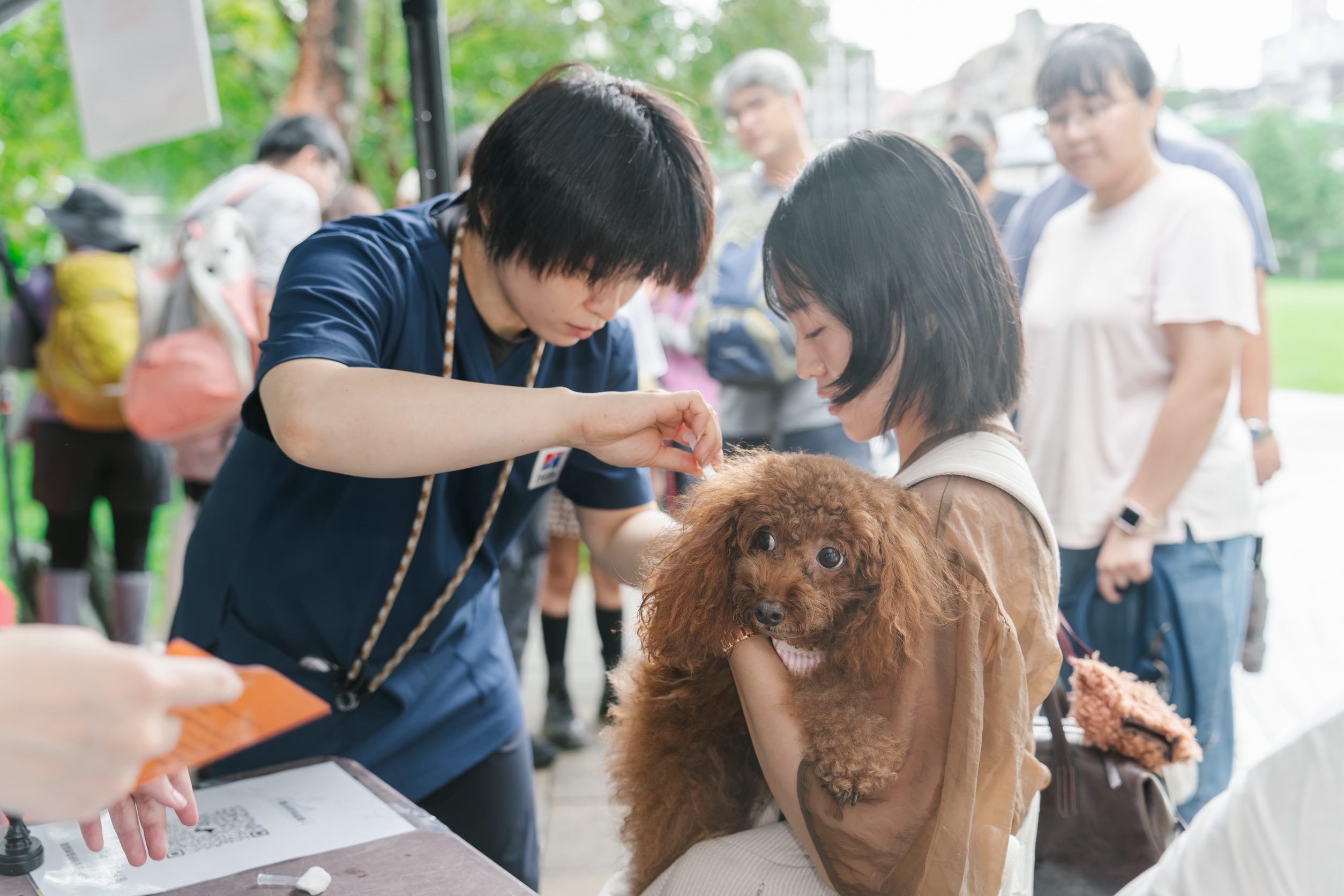 現場提供免費寵物狂犬病疫苗注射服務