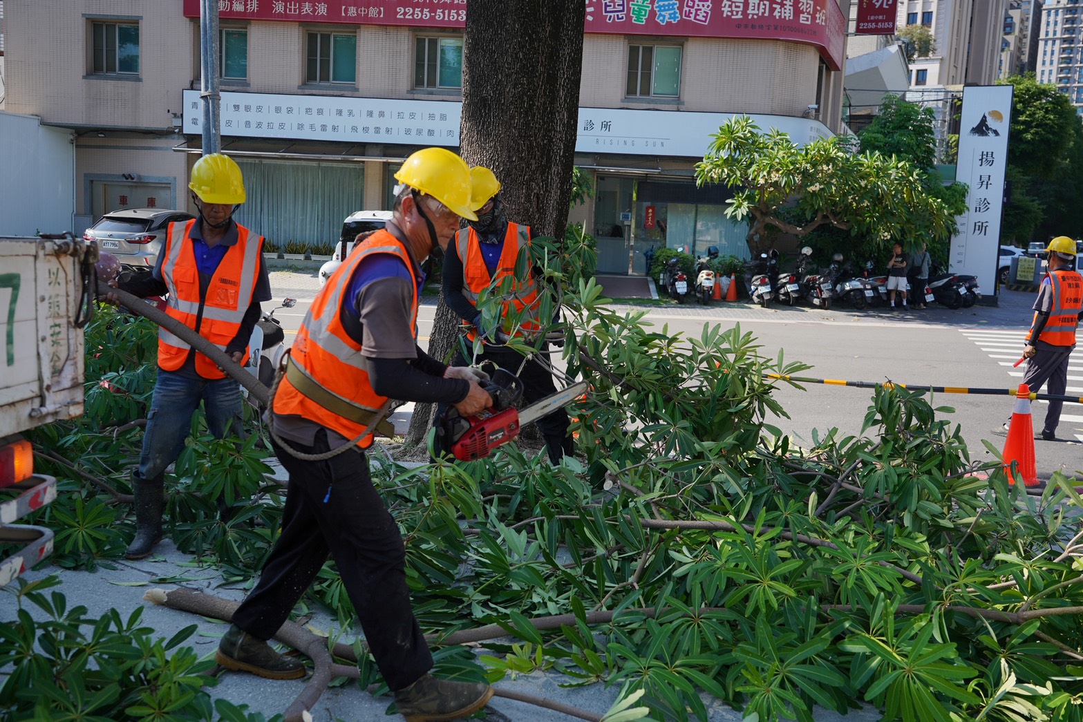 建立-取之於城市-循環於城市-回饋於市民-的綠資源循環