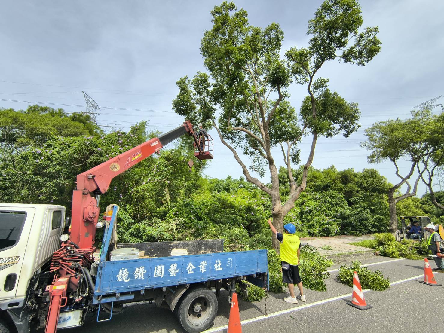 建設局此次導入-rewood森林循環資材管理模式-透過創新技術與公私協力-將修剪枝_