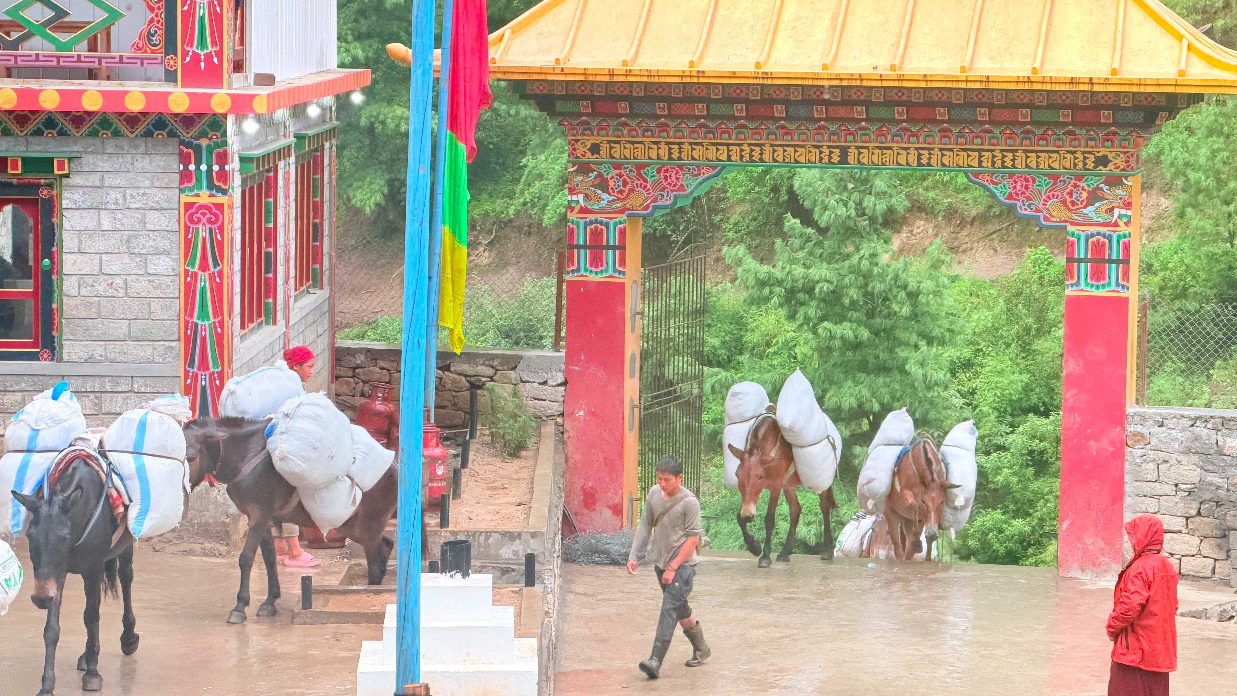 尼泊爾高山物資全仰賴驢隊翻越山路運送。（永壽文教基金會提供)