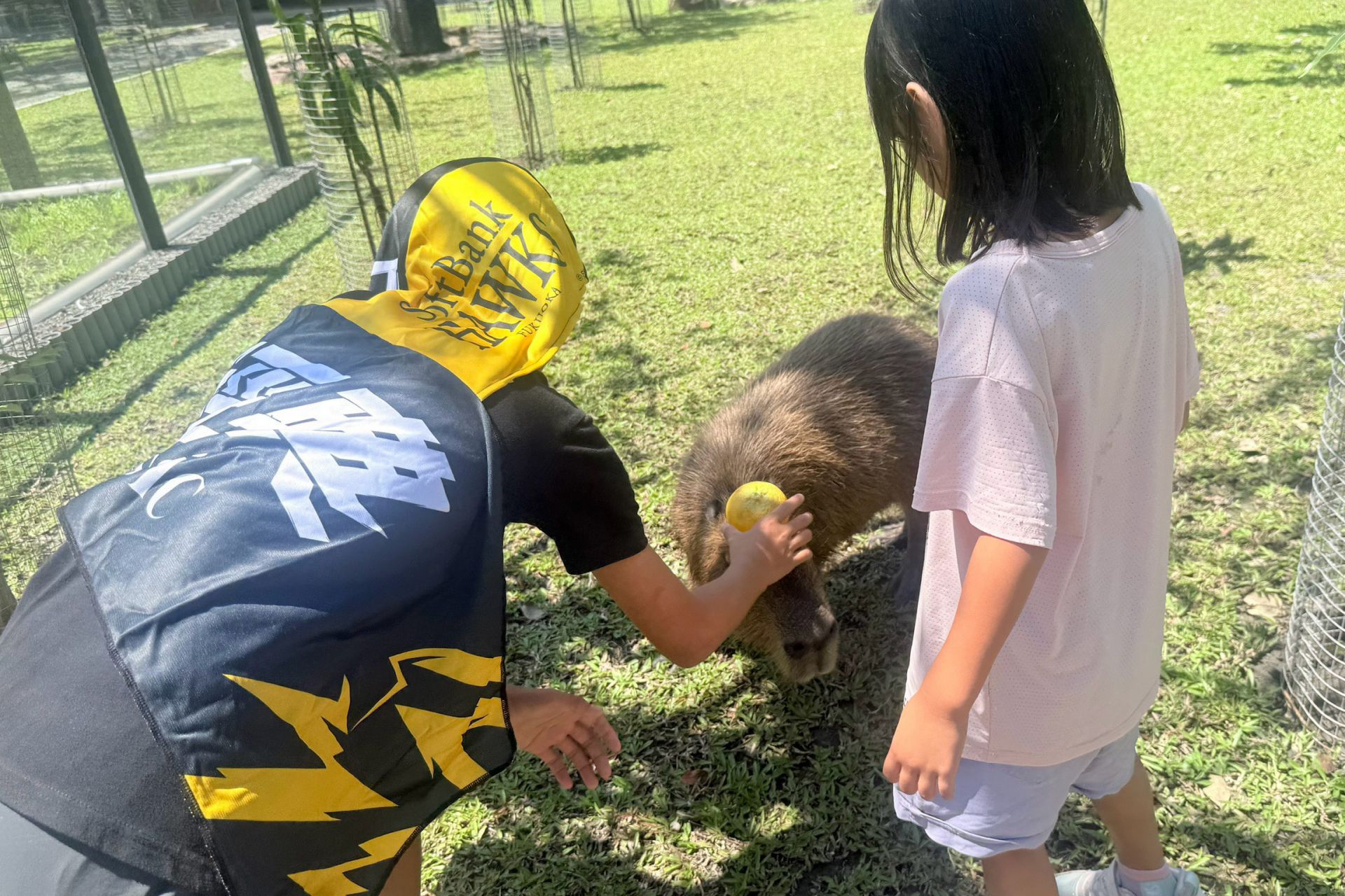 與動物近距離接觸互動療癒體驗